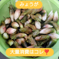 画像1104