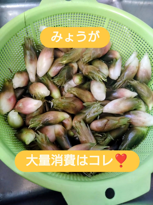 画像1104