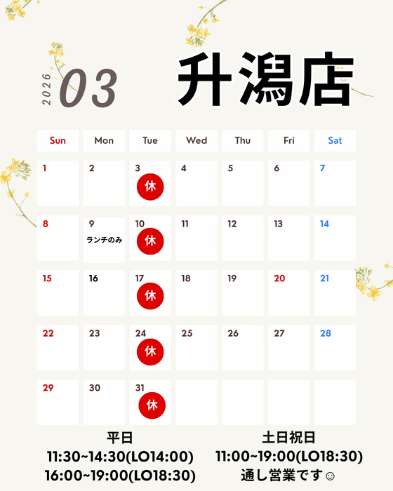 画像1300