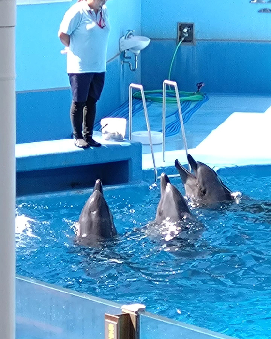 画像630