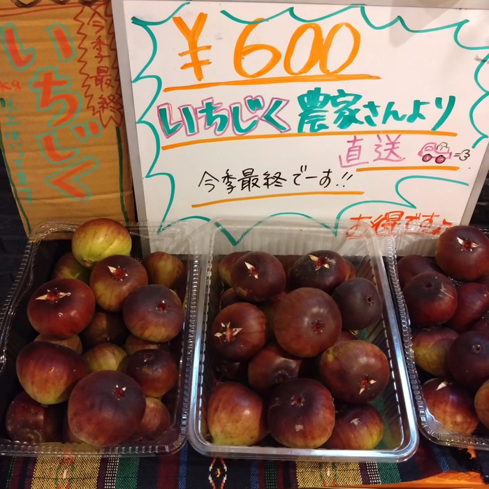 画像805