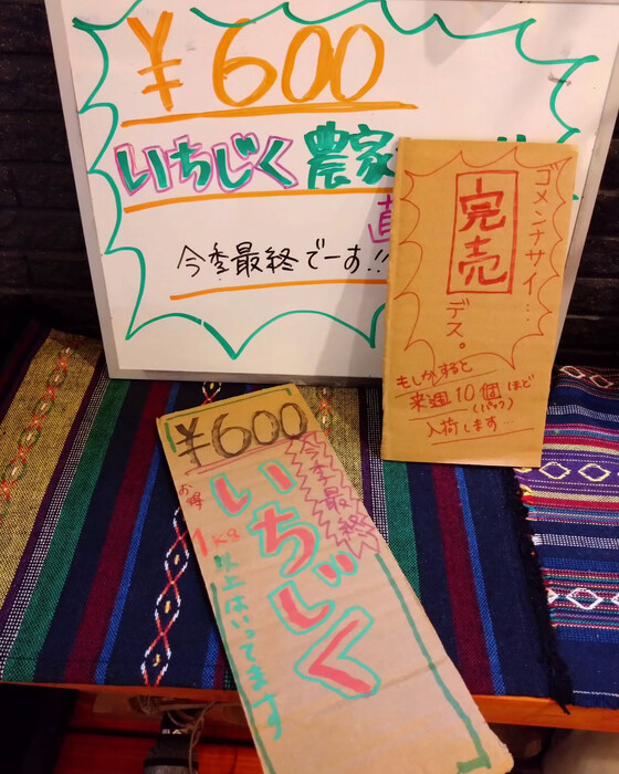 画像808