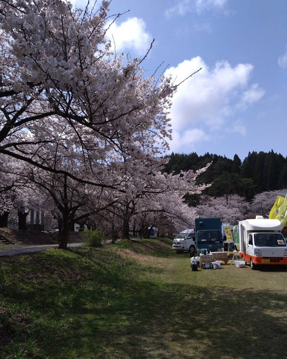 画像916